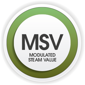 MSV MSV